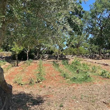 Beautiful Trulli House In Puglia *